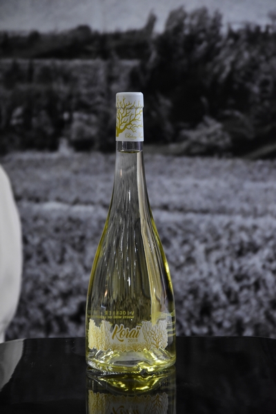 Chateau Musar at Horeca 2019